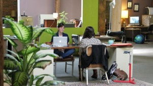 Green, brown and white is one popular combination in many coworking spaces, as seen at  Green Spaces in Denver or ..